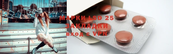 PSILOCYBIN Майский