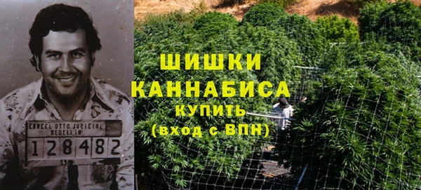 ПСИЛОЦИБИНОВЫЕ ГРИБЫ Киселёвск
