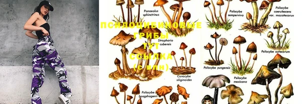 ПСИЛОЦИБИНОВЫЕ ГРИБЫ Мегион